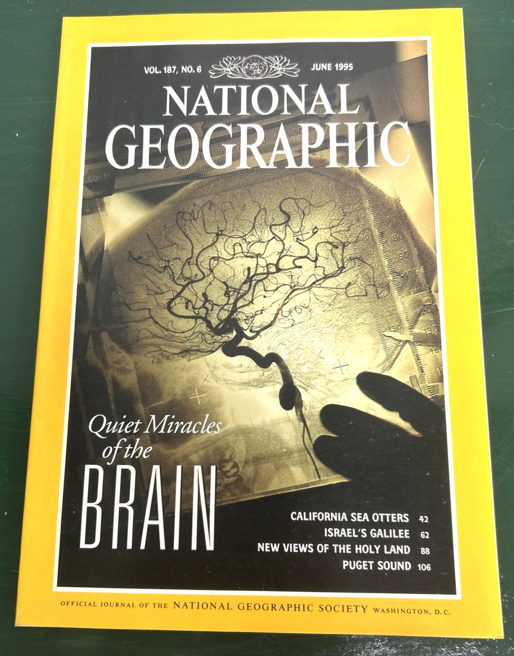 National Geographic Magazine June 1995 Miracles of the Brain Israel' Galilee